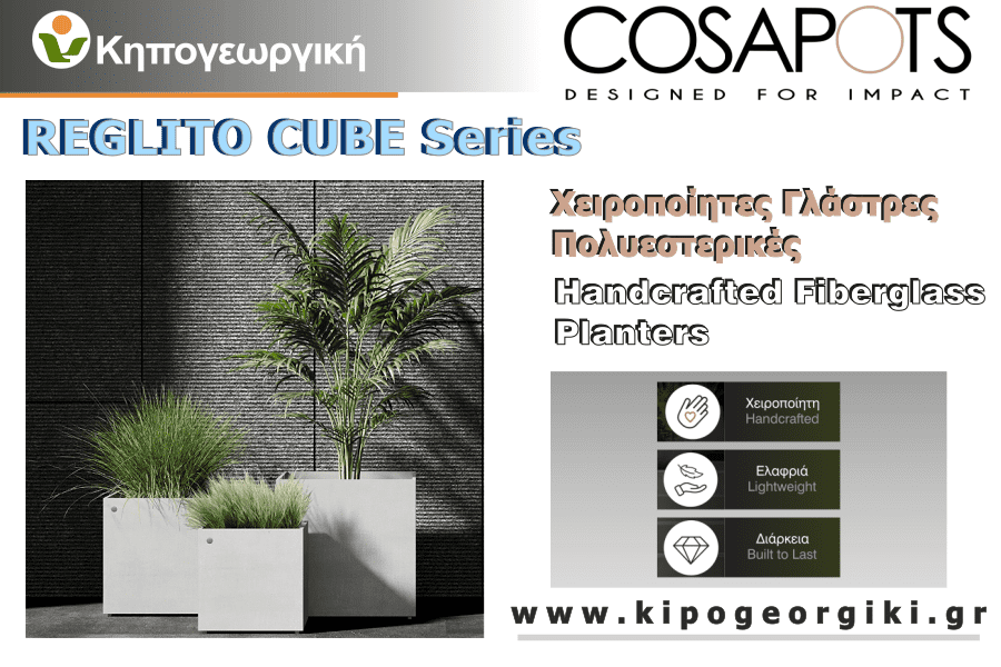 Reglito Cube Cosapots